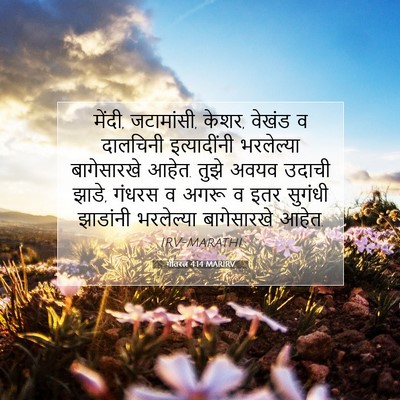 Picture 07 - गीतरत्न 4:14 MARIRV - मेंदी, जटामांसी, - Bible Verse Picture