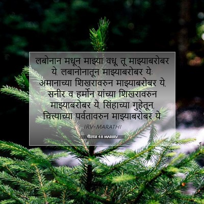 Picture 07 - गीतरत्न 4:8 MARIRV - लबोनान मधून - Bible Verse Picture
