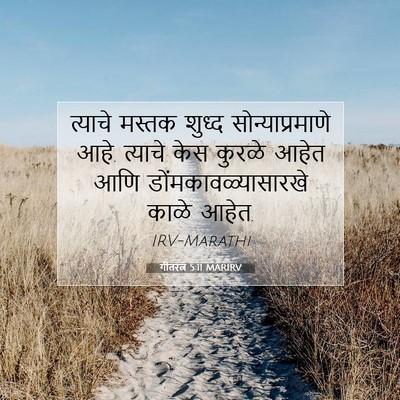 Picture 07 - गीतरत्न 5:11 MARIRV - त्याचे मस्तक - Bible Verse Picture