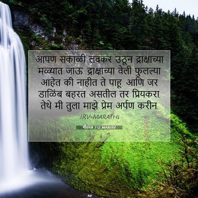 Picture 07 - गीतरत्न 7:12 MARIRV - आपण सकाळी लवकर - Bible Verse Picture
