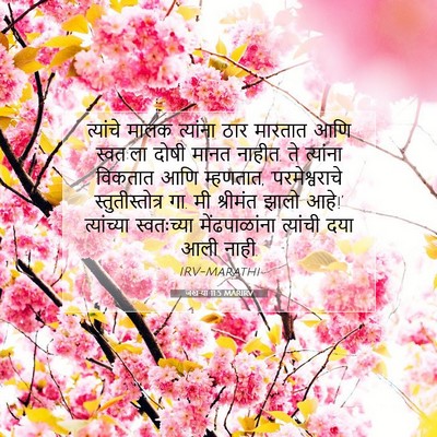 Picture 07 - जखऱ्या 11:5 MARIRV - त्यांचे मालक - Bible Verse Picture