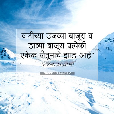 Picture 07 - जखऱ्या 4:3 MARIRV - वाटीच्या उजव्या - Bible Verse Picture
