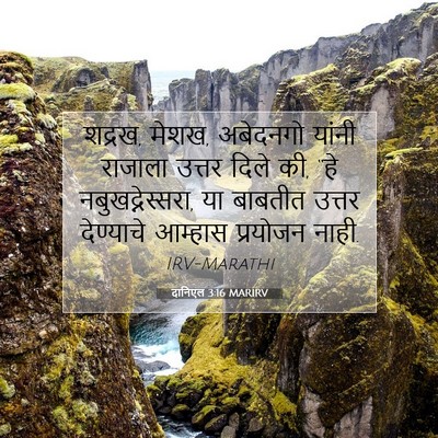 Picture 07 - दानिएल 3:16 MARIRV - शद्रख, मेशख, - Bible Verse Picture