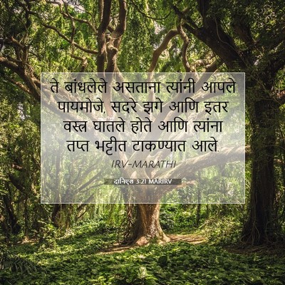 Picture 07 - दानिएल 3:21 MARIRV - ते बांधलेले - Bible Verse Picture