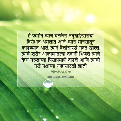 Picture 07 - दानिएल 4:33 MARIRV - हे फर्मान त्याच - Bible Verse Picture
