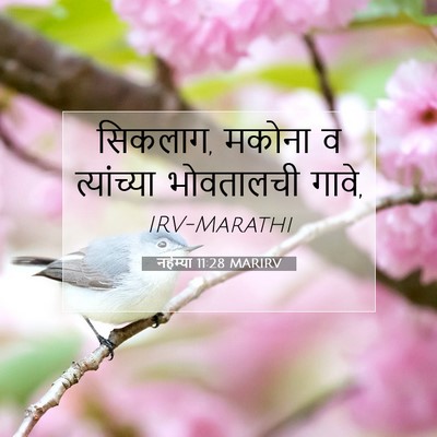 Picture 07 - नहेम्या 11:28 MARIRV - सिकलाग, मकोना व - Bible Verse Picture