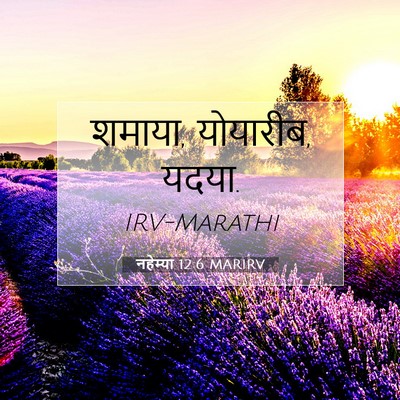 Picture 07 - नहेम्या 12:6 MARIRV - शमाया, योयारीब, - Bible Verse Picture