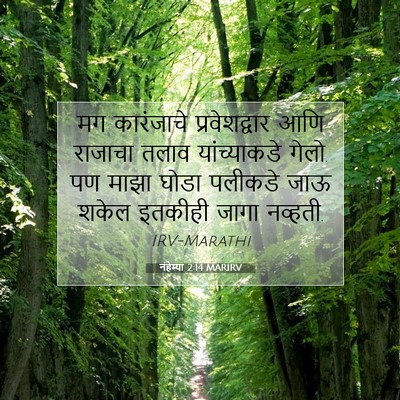 Picture 07 - नहेम्या 2:14 MARIRV - मग कारंजाचे - Bible Verse Picture