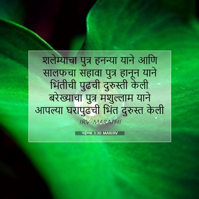 Picture 07 - नहेम्या 3:30 MARIRV - शलेम्याचा पुत्र - Bible Verse Picture