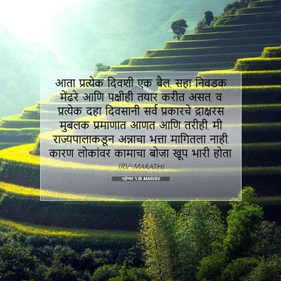 Picture 07 - नहेम्या 5:18 MARIRV - आता प्रत्येक - Bible Verse Picture