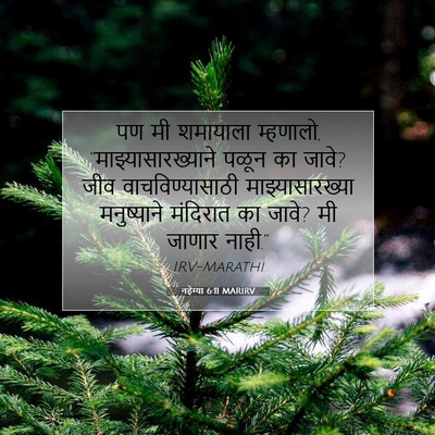 Picture 07 - नहेम्या 6:11 MARIRV - पण मी शमायाला - Bible Verse Picture