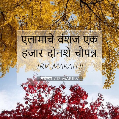 Picture 07 - नहेम्या 7:12 MARIRV - एलामाचे वंशज एक - Bible Verse Picture