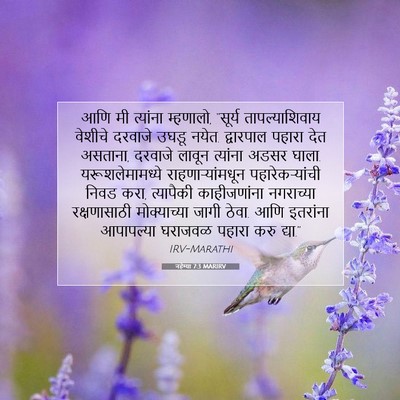 Picture 07 - नहेम्या 7:3 MARIRV - आणि मी त्यांना - Bible Verse Picture