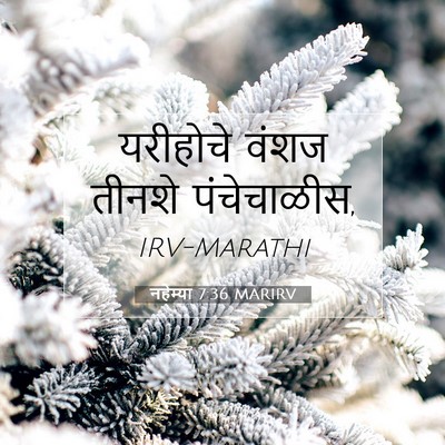 Picture 07 - नहेम्या 7:36 MARIRV - यरीहोचे वंशज - Bible Verse Picture