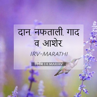 Picture 07 - निर्गम 1:4 MARIRV - दान, नफताली, गाद व - Bible Verse Picture