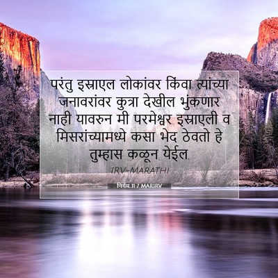 Picture 07 - निर्गम 11:7 MARIRV - परंतु इस्राएल - Bible Verse Picture