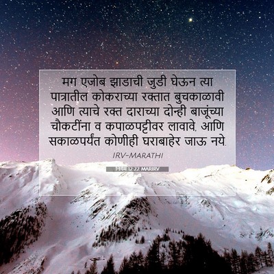 Picture 07 - निर्गम 12:22 MARIRV - मग एजोब झाडाची - Bible Verse Picture