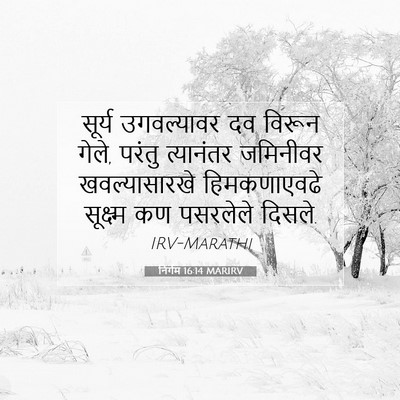 Picture 07 - निर्गम 16:14 MARIRV - सूर्य उगवल्यावर - Bible Verse Picture