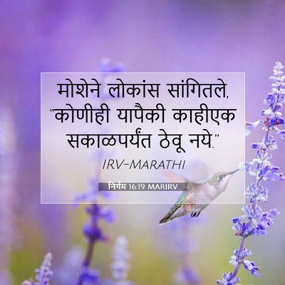 Picture 07 - निर्गम 16:19 MARIRV - मोशेने लोकांस - Bible Verse Picture