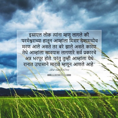 Picture 07 - निर्गम 16:3 MARIRV - इस्राएल लोक - Bible Verse Picture