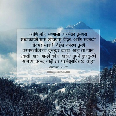 Picture 07 - निर्गम 16:8 MARIRV - आणि मोशे म्हणाला, - Bible Verse Picture
