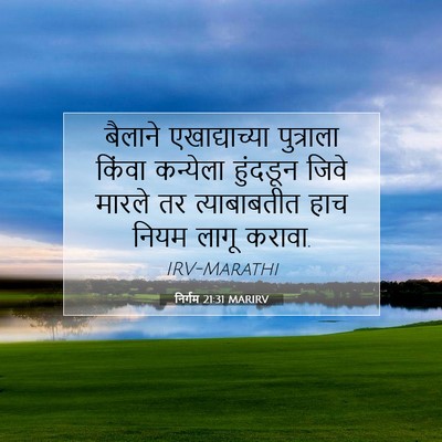 Picture 07 - निर्गम 21:31 MARIRV - बैलाने - Bible Verse Picture