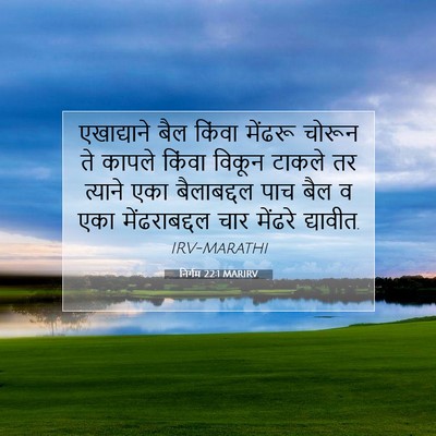 Picture 07 - निर्गम 22:1 MARIRV - एखाद्याने बैल - Bible Verse Picture