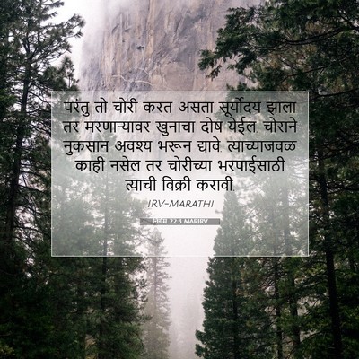 Picture 07 - निर्गम 22:3 MARIRV - परंतु तो चोरी करत - Bible Verse Picture