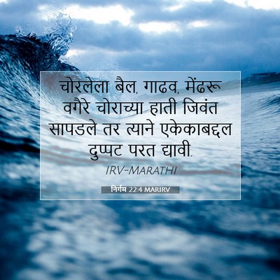 Picture 07 - निर्गम 22:4 MARIRV - चोरलेला बैल, गाढव, - Bible Verse Picture