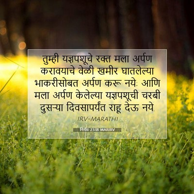 Picture 07 - निर्गम 23:18 MARIRV - तुम्ही यज्ञपशूचे - Bible Verse Picture