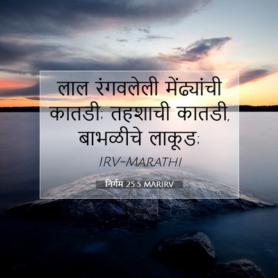 Picture 07 - निर्गम 25:5 MARIRV - लाल रंगवलेली - Bible Verse Picture