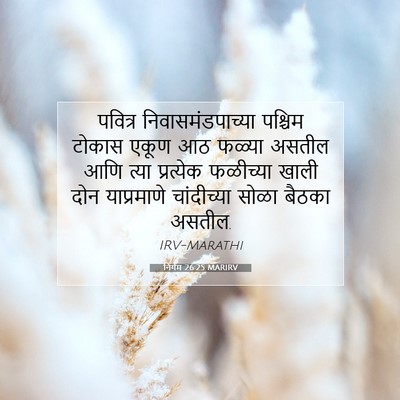 Picture 07 - निर्गम 26:25 MARIRV - पवित्र - Bible Verse Picture
