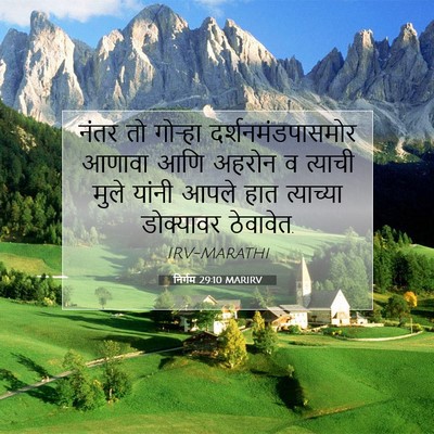 Picture 07 - निर्गम 29:10 MARIRV - नंतर तो गोऱ्हा - Bible Verse Picture