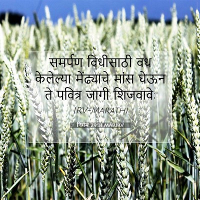 Picture 07 - निर्गम 29:31 MARIRV - समर्पण विधीसाठी - Bible Verse Picture