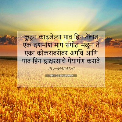 Picture 07 - निर्गम 29:40 MARIRV - कुटून काढलेल्या - Bible Verse Picture