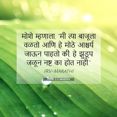 Picture 07 - निर्गम 3:3 MARIRV - मोशे म्हणाला, “मी - Bible Verse Picture