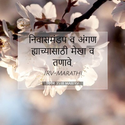 Picture 07 - निर्गम 35:18 MARIRV - निवासमंडप व अंगण - Bible Verse Picture