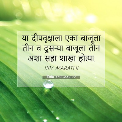 Picture 07 - निर्गम 37:18 MARIRV - या दीपवृक्षाला - Bible Verse Picture