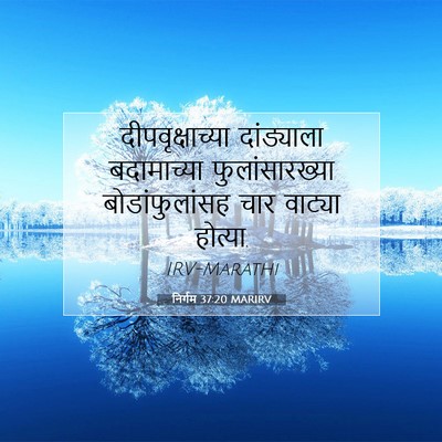 Picture 07 - निर्गम 37:20 MARIRV - दीपवृक्षाच्या - Bible Verse Picture
