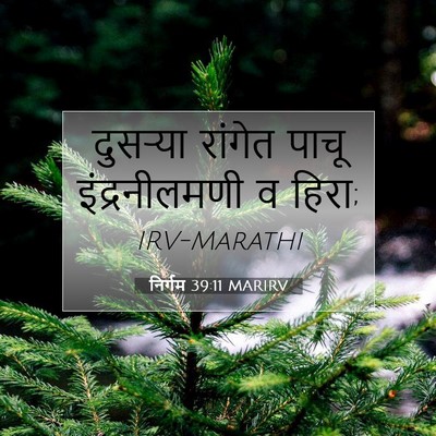 Picture 07 - निर्गम 39:11 MARIRV - दुसऱ्या रांगेत - Bible Verse Picture