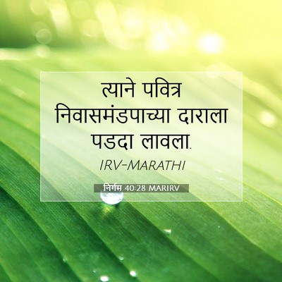 Picture 07 - निर्गम 40:28 MARIRV - त्याने पवित्र - Bible Verse Picture