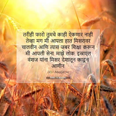 Picture 07 - निर्गम 7:4 MARIRV - तरीही फारो तुमचे - Bible Verse Picture