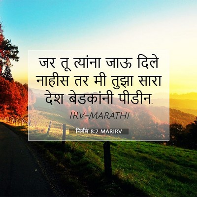 Picture 07 - निर्गम 8:2 MARIRV - जर तू त्यांना जाऊ - Bible Verse Picture