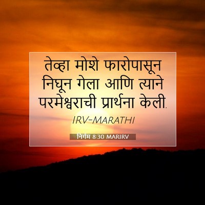 Picture 07 - निर्गम 8:30 MARIRV - तेव्हा मोशे - Bible Verse Picture