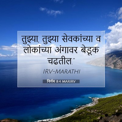 Picture 07 - निर्गम 8:4 MARIRV - तुझ्या, तुझ्या - Bible Verse Picture