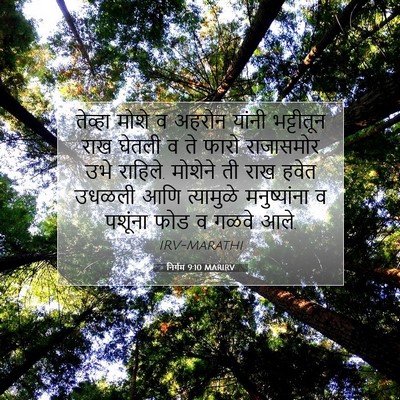 Picture 07 - निर्गम 9:10 MARIRV - तेव्हा मोशे व - Bible Verse Picture