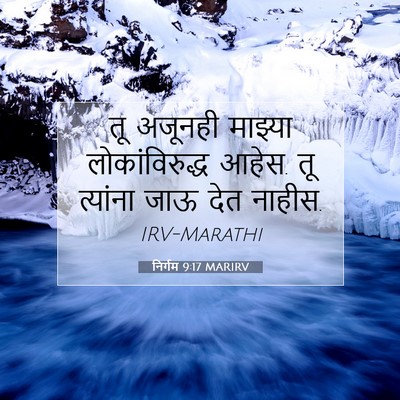Picture 07 - निर्गम 9:17 MARIRV - तू अजूनही माझ्या - Bible Verse Picture