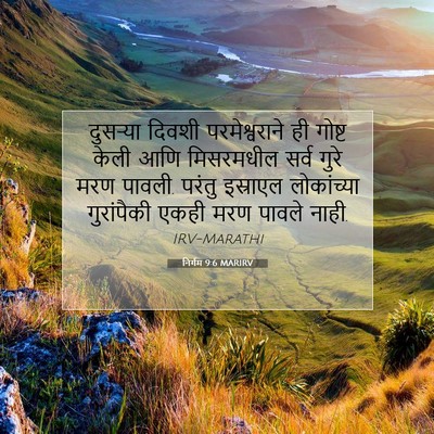 Picture 07 - निर्गम 9:6 MARIRV - दुसऱ्या दिवशी - Bible Verse Picture