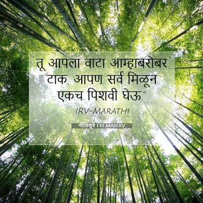 Picture 07 - नीतिसूत्रे 1:14 MARIRV - तू आपला वाटा - Bible Verse Picture
