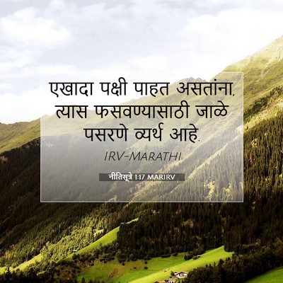 Picture 07 - नीतिसूत्रे 1:17 MARIRV - एखादा पक्षी पाहत - Bible Verse Picture